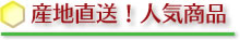 産地直送!人気商品